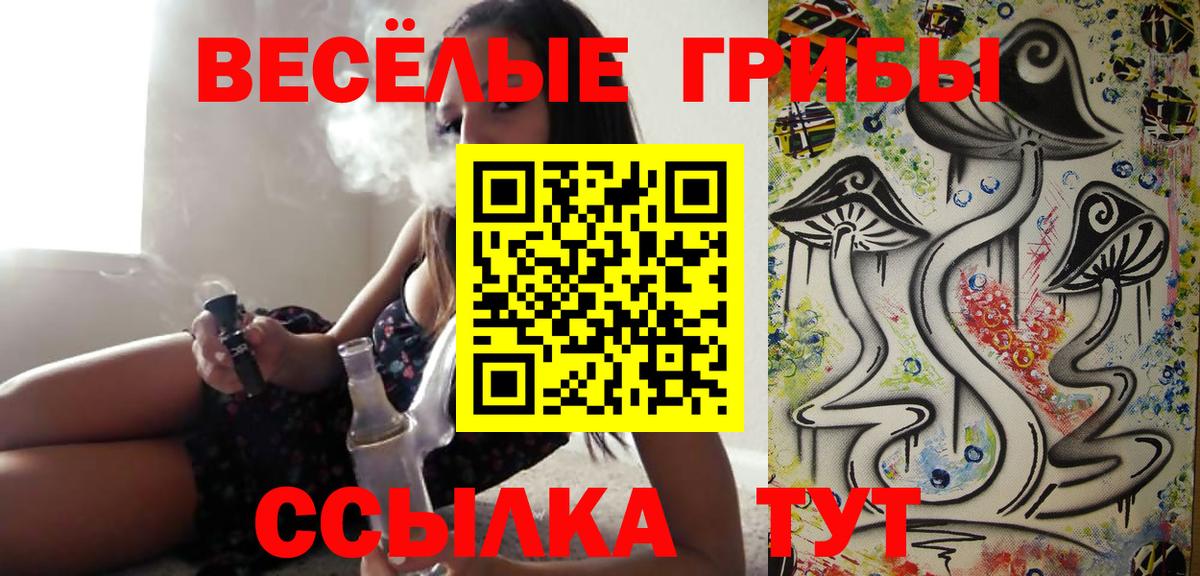 Галлюциногенные грибы GOLDEN TEACHER Тула